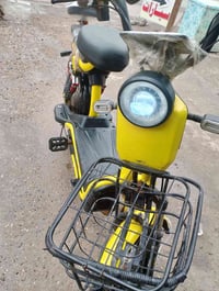 دراجة شحن • قيمه • سكليتير