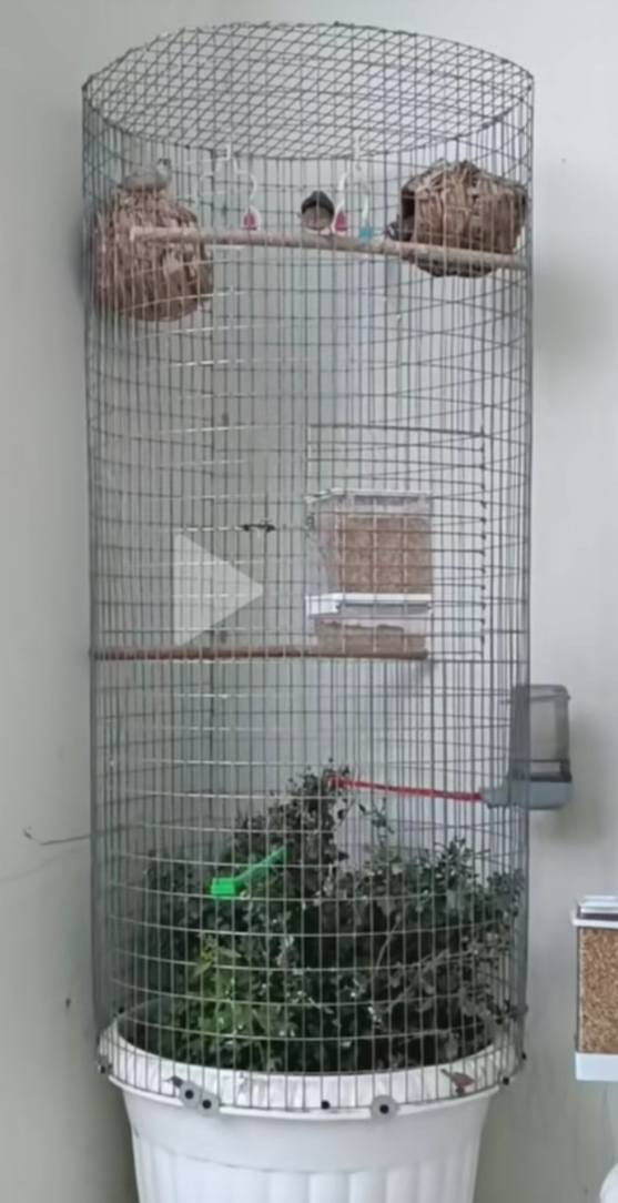 السلام عليكم  
عمل جميع الاقفاص السندانه      (طيور حب / كناري / فنجس/ بلبل ). حسب الطلب والقياسات +المعلف الحيوان وعلبة المياء و البيت  اي استفسار توصل وتساب /‏‪***********‬‏ متوفر في( الموصل)
.
