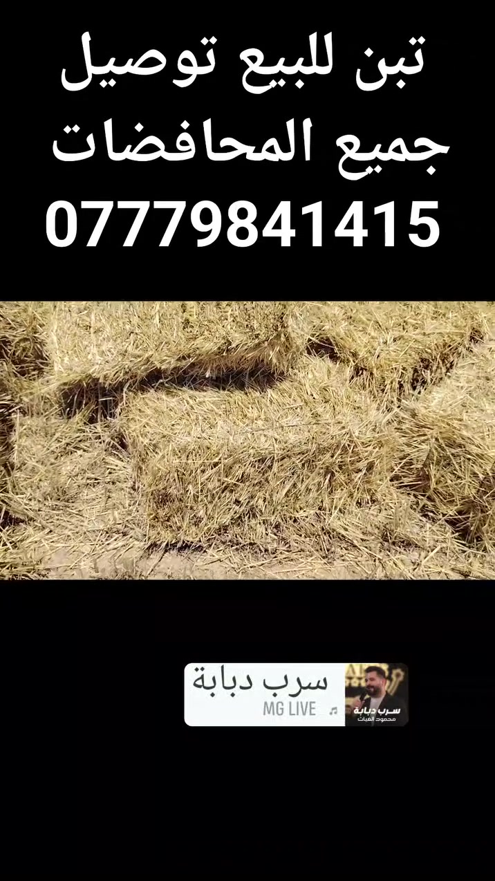 1 كربلاء


**إذا كنت صاحب هذا الإعلان وتريد حذفه لأي سبب، رجاءا أرسل رسالة إلى الدعم الفني**