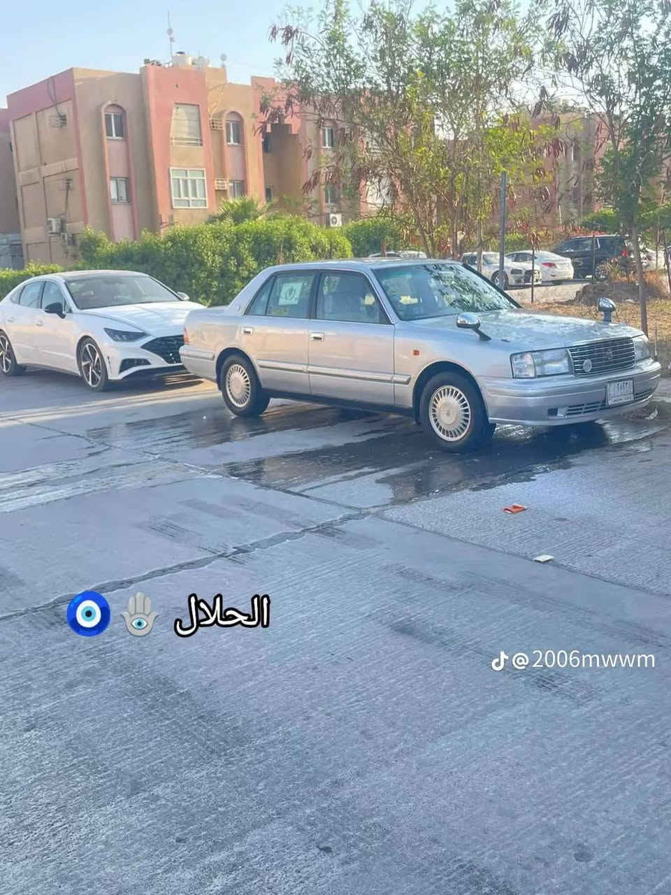 ماشاء الله راس ثور تكم 5دكم سنفري ام طفل رقم كركوك مدفوع كمرك مكفوله السيارة مكان نجف سعر 110وبيه مجال ***********
