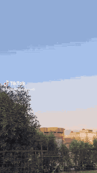 معدل طيران • سلف 55 • ديوانيه