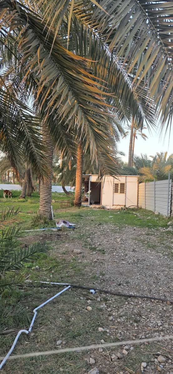 سلام عليكم ارض للبيع المساحة دونم و٦٥٠م المدائن منطقة التويثة نزال من شارع ٢٠٠م
للستفسار اتصل ***********
