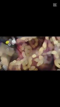 نامه • ٢٦ • كفاله عامه