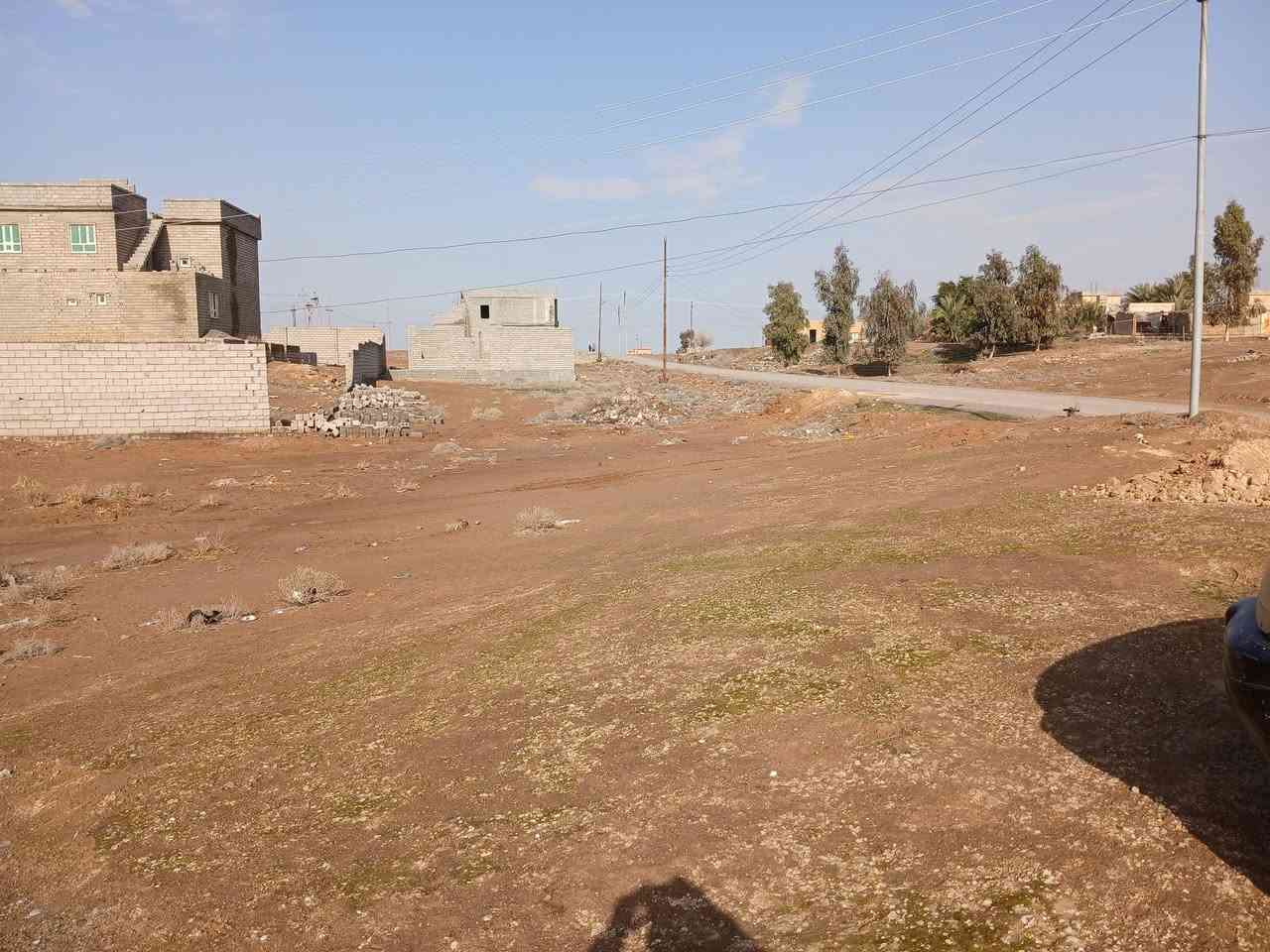 قطعة أرض للبيع تقريبا 800 بالسكنيه تبليط وماء وكهرباء الشراي يتصل ***********
