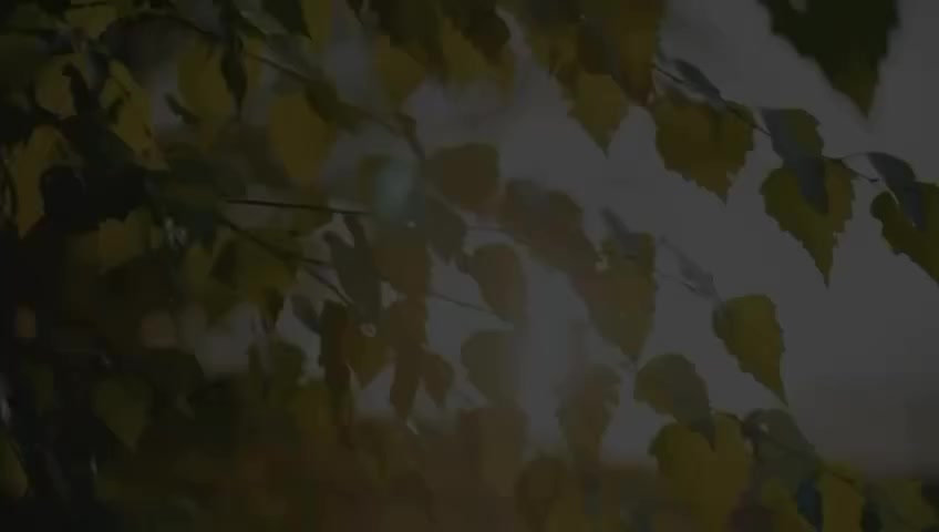 ✨ **بحيرة الأمنيات - أول مجمع سكني في كربلاء!** ✨
استمتع بالعيش في مجمع فريد من نوعه، حيث نقدم لك وحدات سكنية بمساحات تبدأ من 200 متر مربع، 250 متر مربع، و300 متر مربع. يتميز المجمع ببحيرات كريستالية تضفي جمالاً وهدوءً على محيطك.

🔐 **خدمات متكاملة:**
- نظام ڤلل حديث
- كهرباء 24 ساعة
- نظام مياه متكامل
- كاميرات ومراقبة أمنية
- تأسيس أنابيب غاز للمطابخ

🏗️ **بناء طابوك أحمر يضمن لك جودة عالية وراحة دائمة.**

🎉 **عرض لفترة محدودة!** اتصل بنا 
اليوم لتكون جزءًا من بحيرة الأمنيات!

***********
