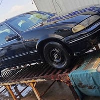 برنس • موديل ٩٥ • بابل جبله