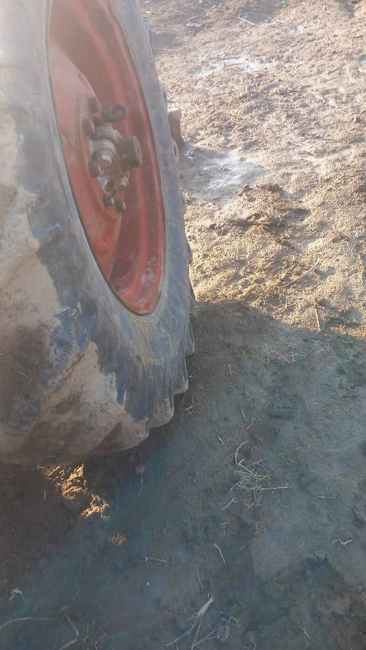 يالله خوان غراض تفصيح  مال بلاروس معه قماره مال عنتر جاهز *********** ،،***********
