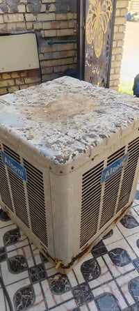 مبرده • درجه • حي نزال