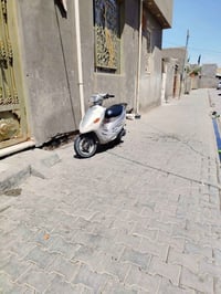 بوكسر • نضيف • مجال حك