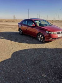 فورتي خليجي • ٢٠٠٩ • الفلوجه