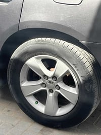 ويل • مقاس ١٧ • بصره
