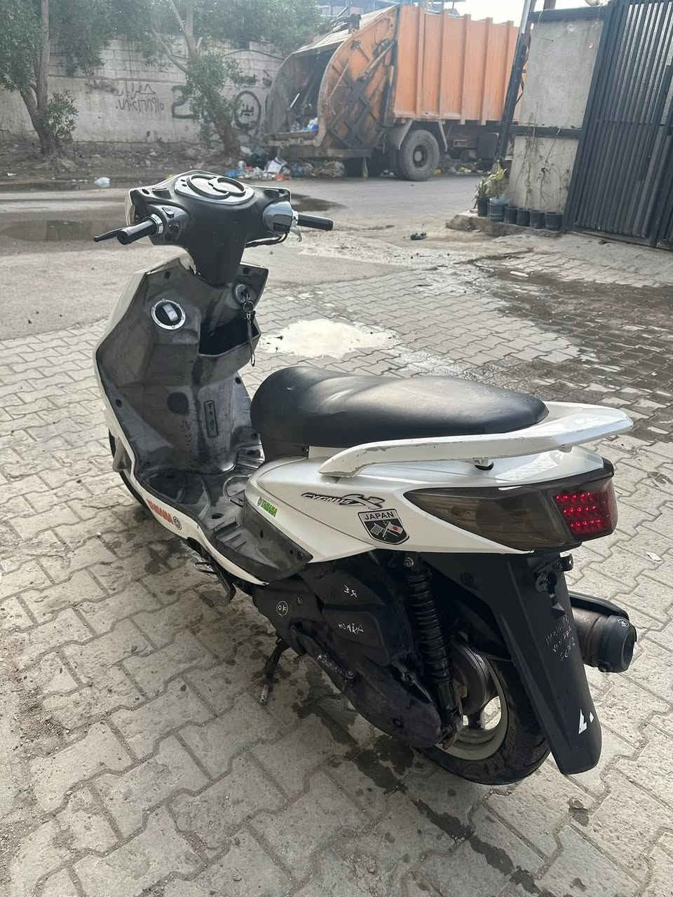 سكنس فحل للبيع 750 اي نقص مابيها *********** بغداد كرادة
