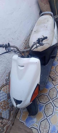 فراشه • گايمه