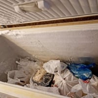 مجمدة • مغسلة بلا كسر • كربلاء