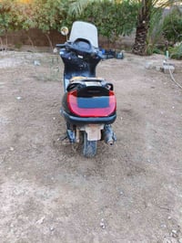 ماجستا • كابريتر • باتري