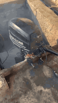 سلام عليكم خل يتونس الفقير 😅ام18جلوريه مكينه حلوه وشغاله فقط محرك بوربنكات والباقي كفاله كيره وكلشي احبتي السعر 650$***********
