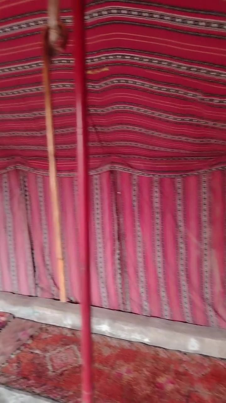خيمة للبيع حجم 6×4
خيمة جديده انشدت بلشته
كامله مابيه اي نقص
سعر وباقي تفاصيل خاص


**إذا كنت صاحب هذا الإعلان وتريد حذفه لأي سبب، رجاءا أرسل رسالة إلى الدعم الفني**