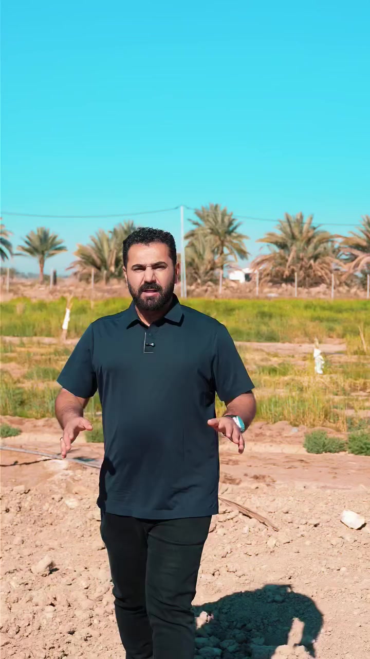 هسه صار دورنا .. ندعم أبنائنا 

#دجاج_الخضراء 
#صنع_في_العراق
#وانتوا_بكيفكم_بعد
موزع محافظة بابل 
***********
