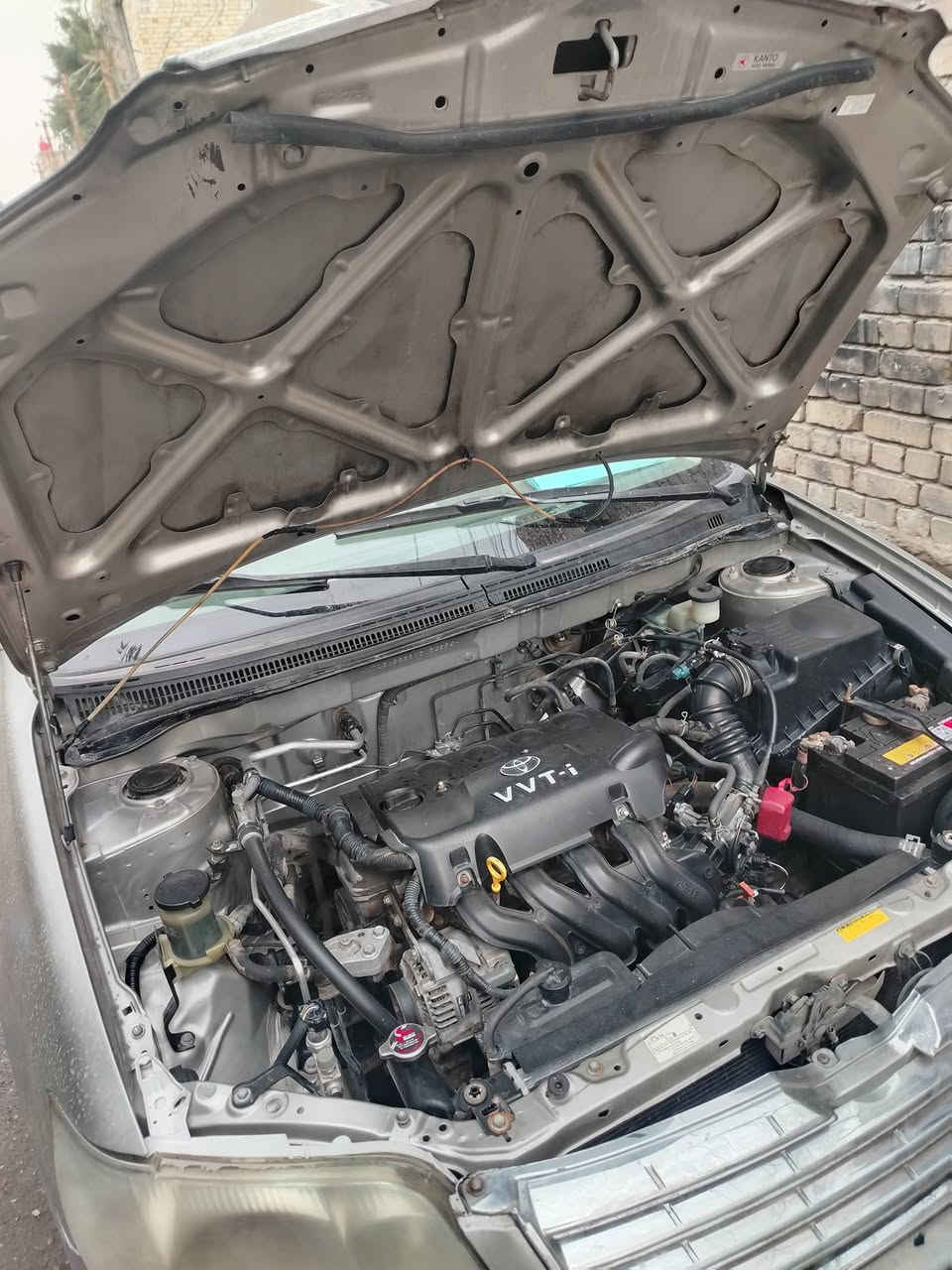 سلام عليكم ابيع كورله بيكا تشو
موديل ٧ رقم بغداد انكليزي سنويه تنتهي ٣٠ الاستفسار اتصال مكان بغدادجميلةثانيه ***********
