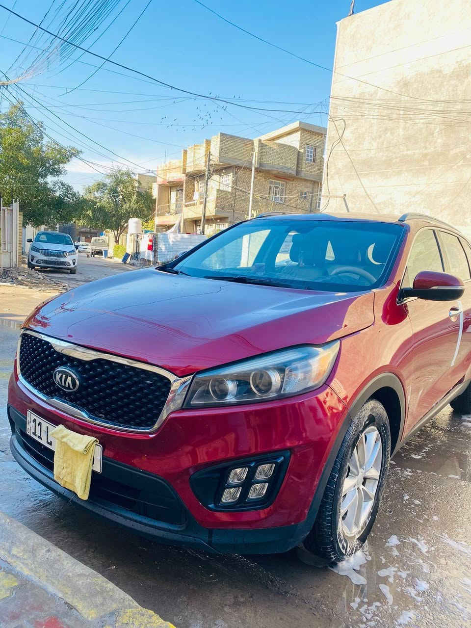 السلام عليكم
سورنتو ٢٠١٧  أمريكي مكينه 6 سلندر 7 راكب رقم انكليزي سنويه ٢٠٢٨ جديده 
كير مكينه حداديه تبريد تدفئه كهربئات كلها جاهزه تخم تاير شاشه كبيره دوشه درجه اولى أرضيات وكشنات
جاملغ أمامي أيمن حادثها وموحدين الصفحه كلير بدون فتح ابواب او اي تبديل من امريكا السونار مرفق الَمنشور
َمكانها بغداد الاتصال ***********
السعر 170 وبيها مجال
