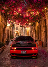 جالنجر SXT • ٢٠٢٢ • رقم اربيل