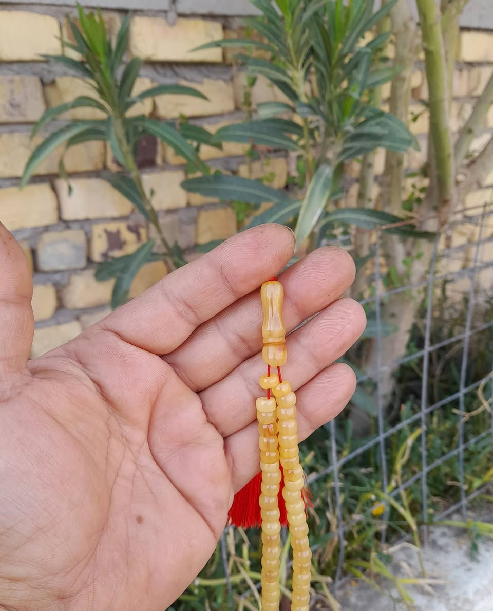 ياالله.. سندلوس ألماني قديم مشروط معرك 101 وزن 31 غرام ملاحظه الخرز متفاوته من القدم الشراي يتفضل خاص


**إذا كنت صاحب هذا الإعلان وتريد حذفه لأي سبب، رجاءا أرسل رسالة إلى الدعم الفني**