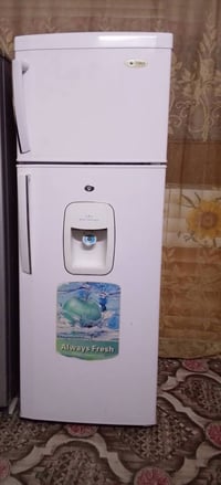 فورسي • حجم وسط • شغاله ع الفحص