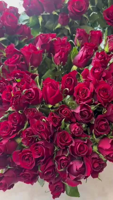 مرحبا 
يتوفر لدينا باقات ورد طبيعي
مع العلم سعر الوردة الوحدة 3 تالاف دينار فقط لفترة محدودة 

للطلب والتوصيل ***********
الاسكان شارع مستشفى الطفل مقابل محلات الجوهرة
