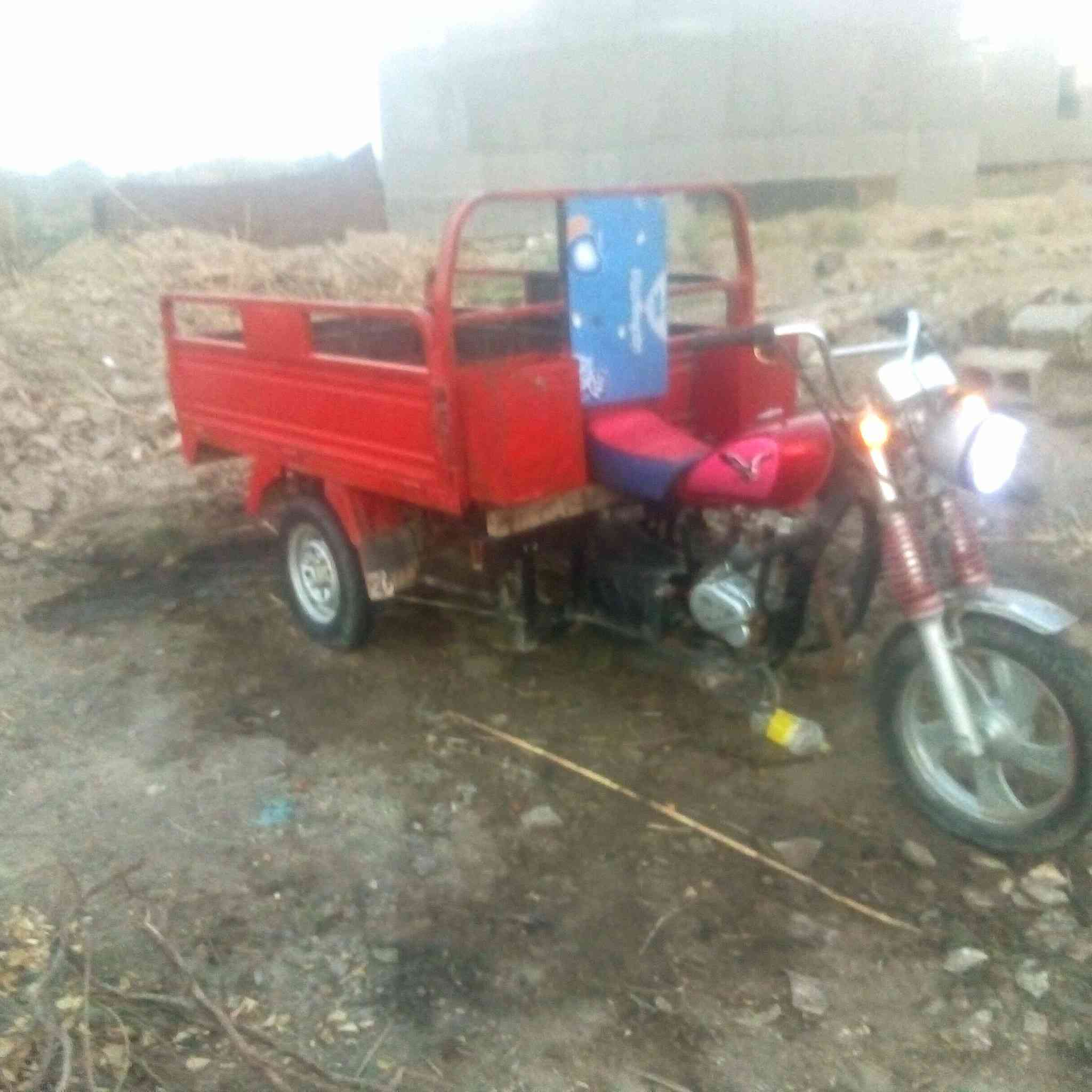 سلام عليكم تتوتة جمرة ٢٠١٦ مكان حلة محاويل مكفولة سعر٨٠٠ وبيهة مجال ***********
