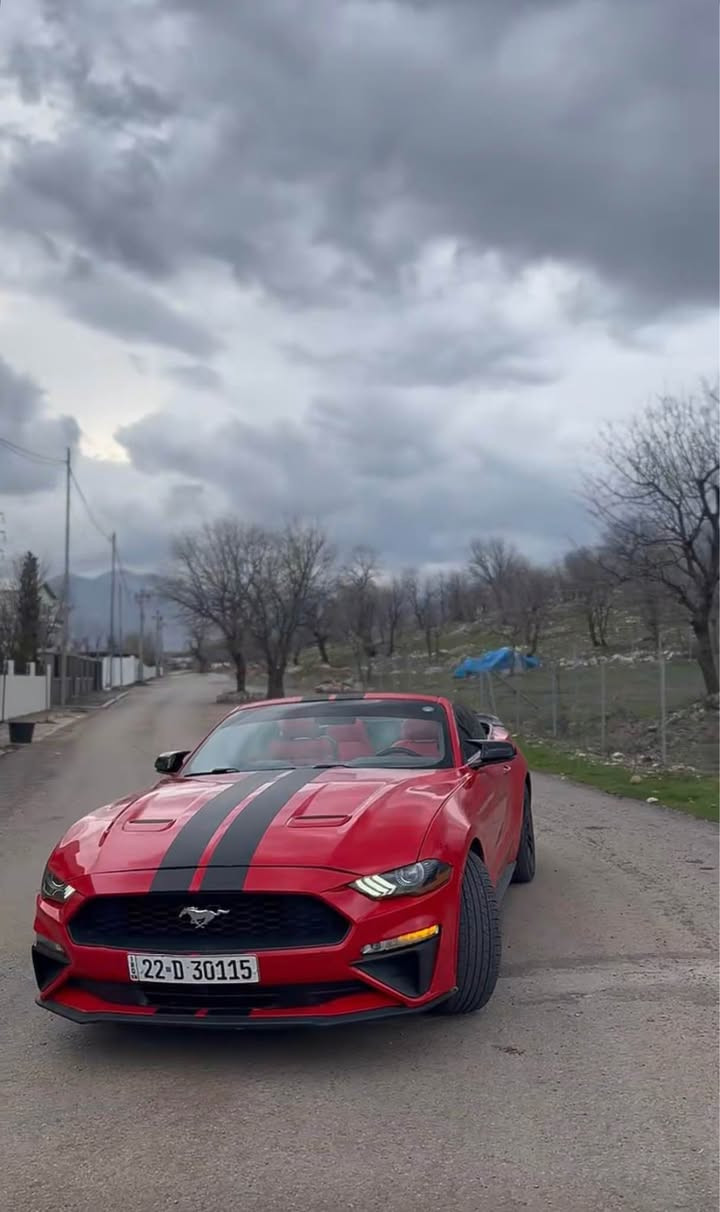 پيشو پشتي كبسه بس يرباك سوكان 
٣ قتعه بخ دو قتعه سبوغ بتانه شاصي شرت
كورينه وش دكم 
*********** أربيل, العراق
