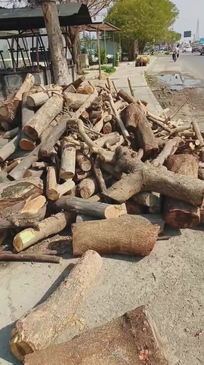 #رمضان_مباركツ 

#طازج_جديد_يوم_بيوم 🐟🐟

للحجز و الطلب الاتصال ***********

المطعم مفتوح من ساعه ٩ صباحاً الى ١٠ ليلاً 

#شعارنا_جربونه_مره_ترجعولنه_الف_مره

العنوان _خانقين_تقاطع_اركوازي_مقابل_منتزه_داره_ كوناره

عدنا خدمه توصيل لكل مناطق خانقين
