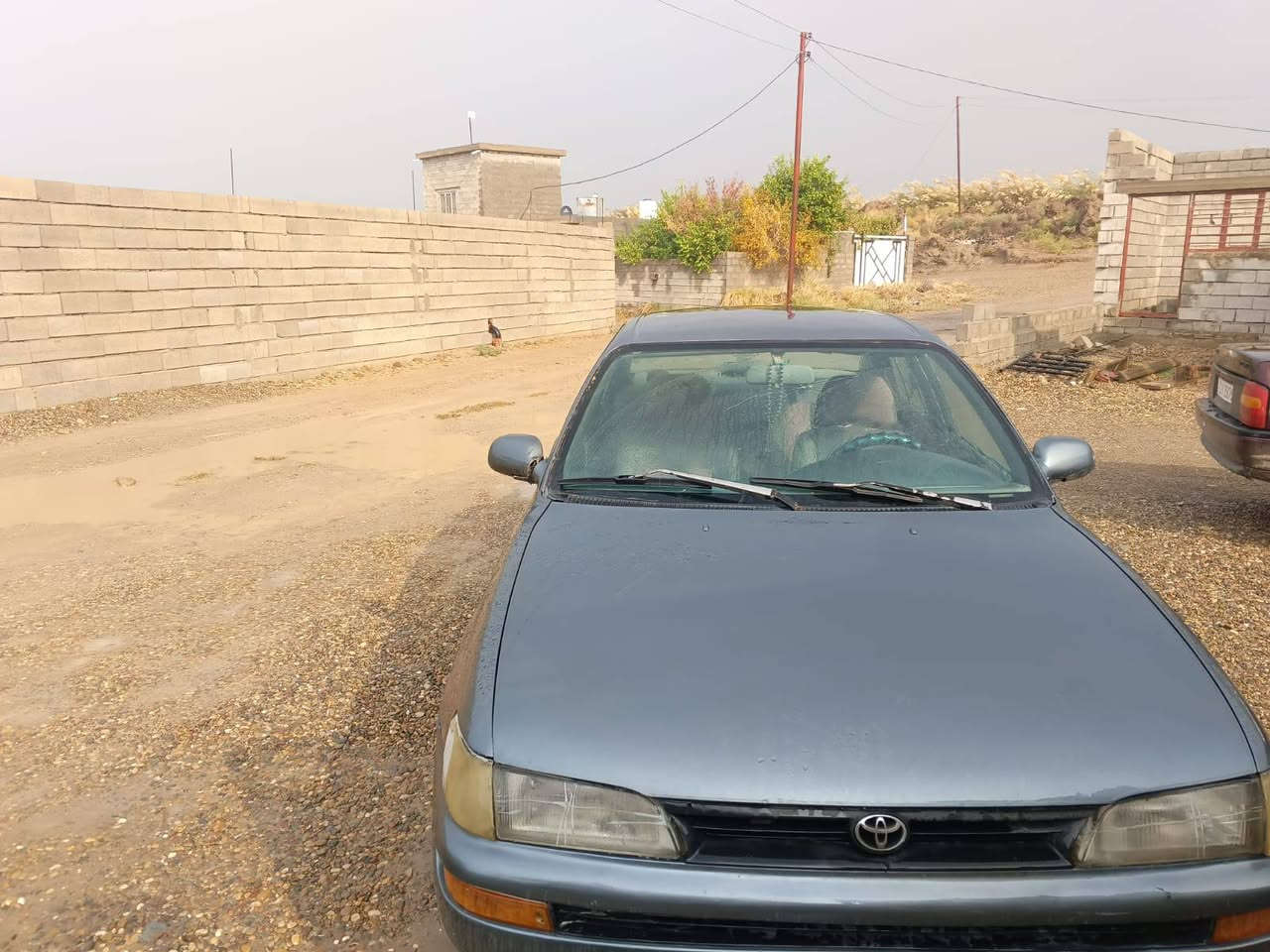 سلام عليكم كورلا ٩٣ كير محرك خير من الله مصبوغه عام رقم انبار سنويه جديده بسمي لل ٣١باقي عل استلام الوحات الدولي سعر 35وبيها مجال مكان القلعه ***********
