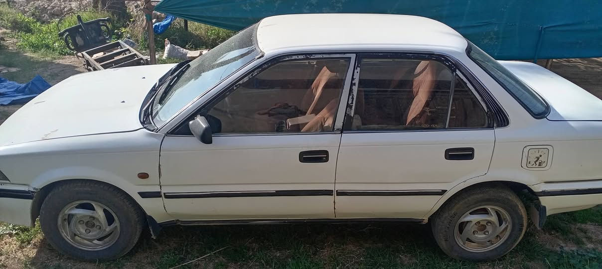 سلام عليكم ورحمة الله وبركاتة كورله موديل ٨٨ رقم انبار مكانه فلوجه رقم مبايل *********** سعر ٣٠ وبي مجال
