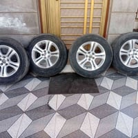 ويل كب • ١٧بوصة • البصره شط العرب