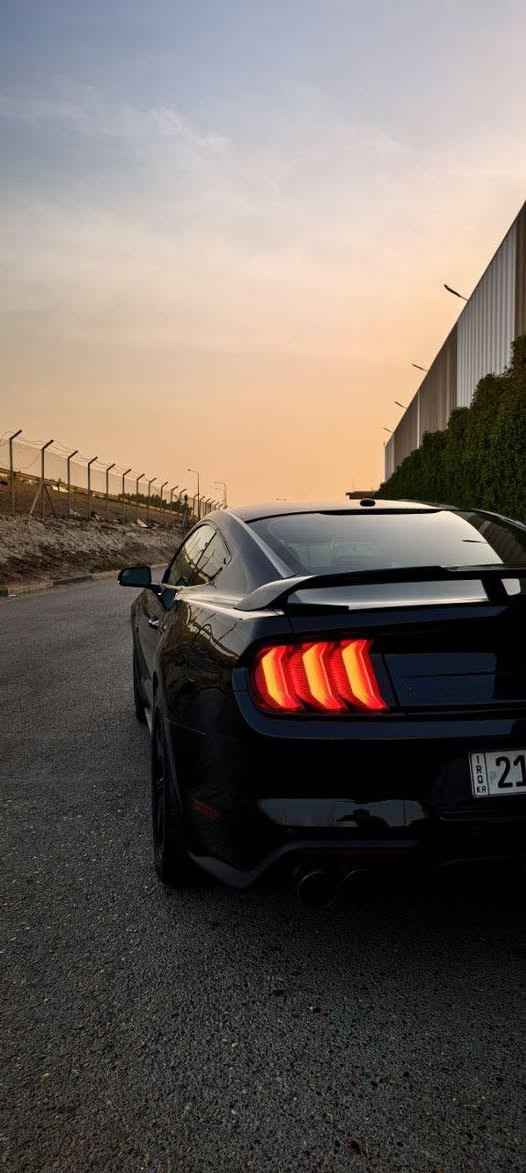 موستنك GT ( 5.0 ) 2019
موستنك GT للبيع ( 5.0 ) 10 speed ( 10 نمر )🚀

وارد كندي كلين تايتل مغلفه PPF بالكامل 

فقط نص شبر بالبنيد صبغ فقط لا غير 

ماشيه 48 الف مثل ما موضح بالصور

فول عدا الدجتل يجي العداد تحكم 7 الوان 

عليهه : 👇🏿

برمجه ارماند 

داون بايب 

ء H بايب 

دبات خلفيه HT بور بوابات

فيت ام AEM 

سستم دواخل كاربون فايبر بالكامل 

السياره لتقارنهه بالمهجومات نهائياً 

كفاله كير و مكينه شرط ! 

تجي واحطك على راسي وتاخذ بيهه تراي و تشوف كشرهه و نصبتهه و قوتهه 

السياره معروضه ب22،500 

وبيهه مجال للشراي 

***********
