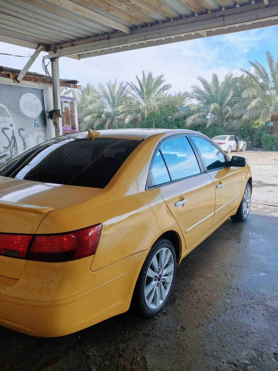 سلام عليكم للبيع فقط بدون مراوس 
     
         اقرا التفاصيل وبخدمتك

سوناتا تكسي امريكي مكينه دوش الفين وربعمية
    موديل 2009. حداديه جديده امامي خلفي   ويل جديد وتخم تاير  ومنضومه تبريد. ومنضمومه تتدفئه منضومه مااي. منضومه بانزين. كهربائيات 
   كلهن مشتغلهن جدد عله ايدي توني
. بجم كامل جديد ذابلها ماصدات وشبابيج ثنين. دعاميات جدد توني صابغهن . هيئه مصفره  رقم ديالى مميز. ضرر فقط بيبان ثنين مال سايق والي وراهه. ومبدلات غاد ب امريكا . ونفس الون سعره بشده 100$ 
مكاني بل حله 
 ‏‪0778 063 6284‬‏
*********** ‏‪
