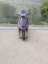 دراجة فراشة • مكفولة • البصرة أبو الخصيب