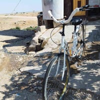 باسكل • 50