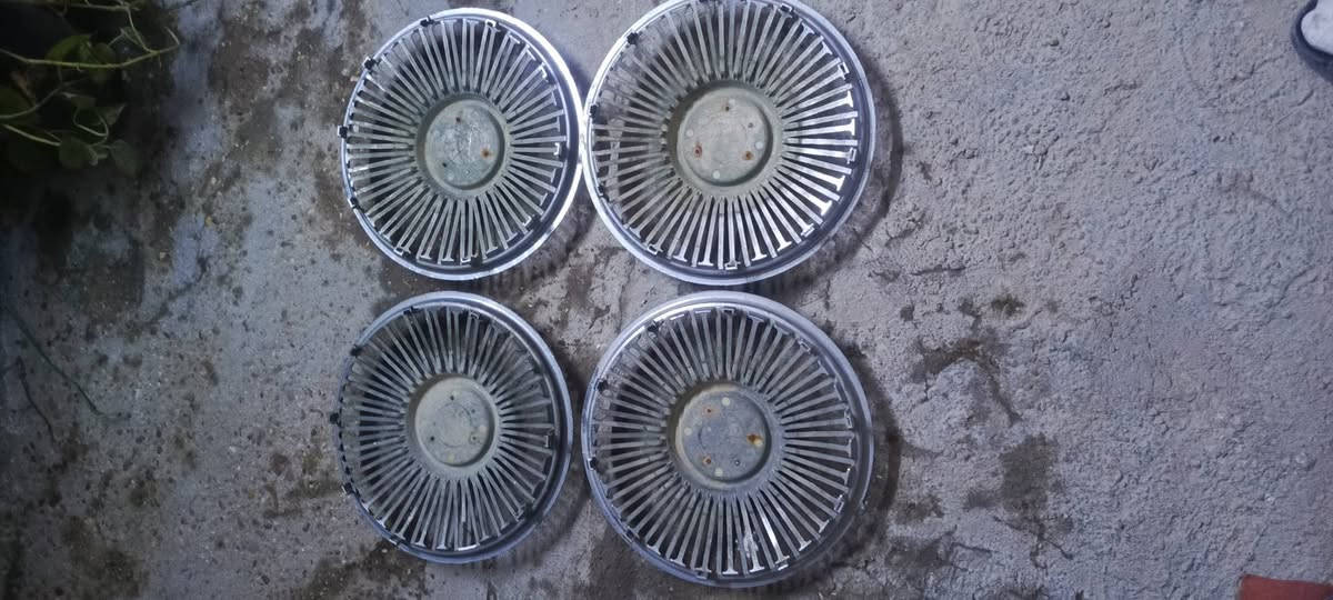 سلام عليكم كبات للبيع بلاستك امهات الشاخه حجم 14سعر 50الاف للتصال***********
