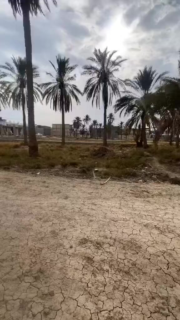 للبيع قطعه بستان عليوي مساحته 300متر واجه 12 ونزال 25 قريبه على السايدين بصف الركن للاستفسار *********** بيها كافة الخدمات
