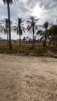 بستان عليوي • ٣٠٠م • واجهة ١٢م