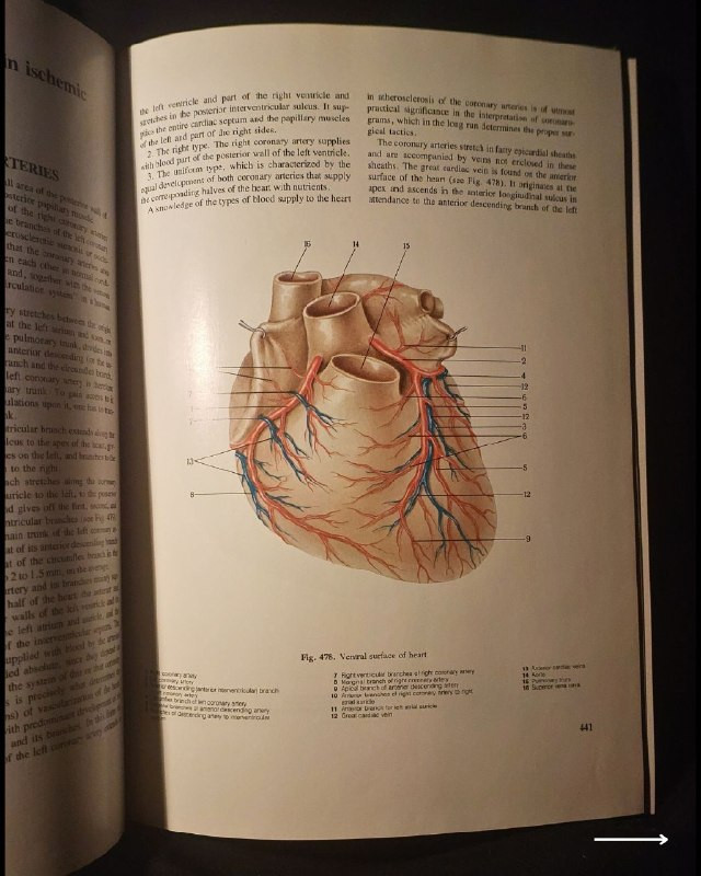 "أطلس جراحي طبي نادر وفخم من روائع الطب السوفيتي الأكاديمي! "
🚩
🫁
🩺
💚
📘
(Atlas of Thoracic Surgery - Volume Two)
المحرر: الأكاديمي بوريس ف. بيتروفسكي (Academician Boris V. Petrovsky).
⚜️
📚
🚩
☭
✨
عن هذه النسخة التراثية:
سنة الطبع: 1979م (طبعة أصلية قديمة ونادرة صادرة عن دور النشر العلمية السوفيتية المترجمة للإنجليزية).
الحالة: ممتازة
✅
⚜️
الموضوع:
أطلس جراحي موسوعي وفخم يتناول جراحة الصدر والأوعية الدموية الكبرى والقلب والرئتين بالتفصيل التشريحي والعملياتي الدقيق، يضم مساهمات كبار علماء الجراحة في الاتحاد السوفيتي السابق، يهم جداً أطباء جراحة الصدر والقلب، طلاب كليات الطب والصيدلة، وهواة اقتناء المراجع الطبية التراثية الأجنبية النادرة.
🔹
السعر: 35 د. ع.
📜
للحجز
🔻
:
البوت:
@PH_900bot
أو واتساب: ***********
