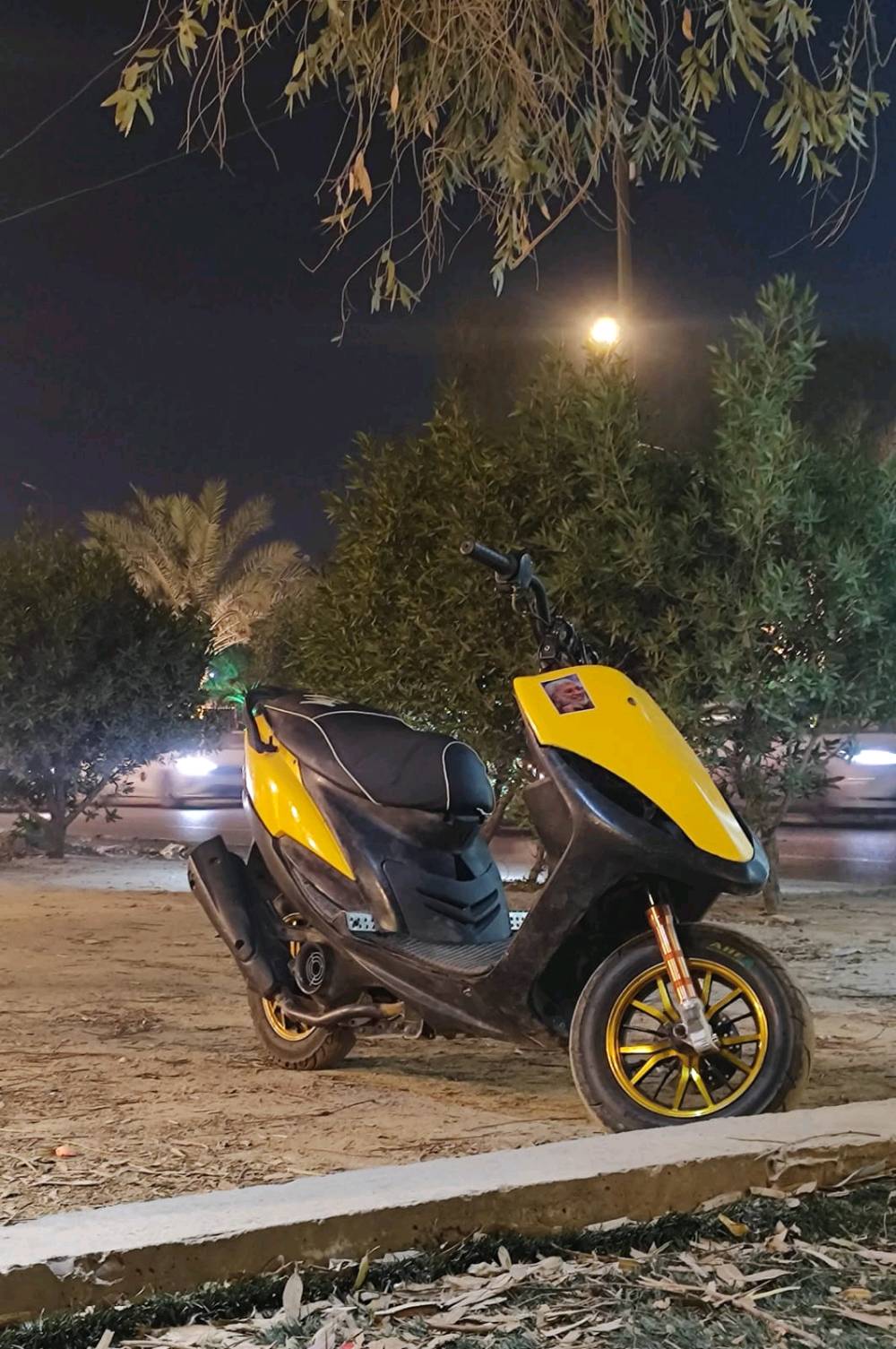 ماكس عدله البيع 55 مزودة سلف شغاله غراض راس موجوده مكاني النجف