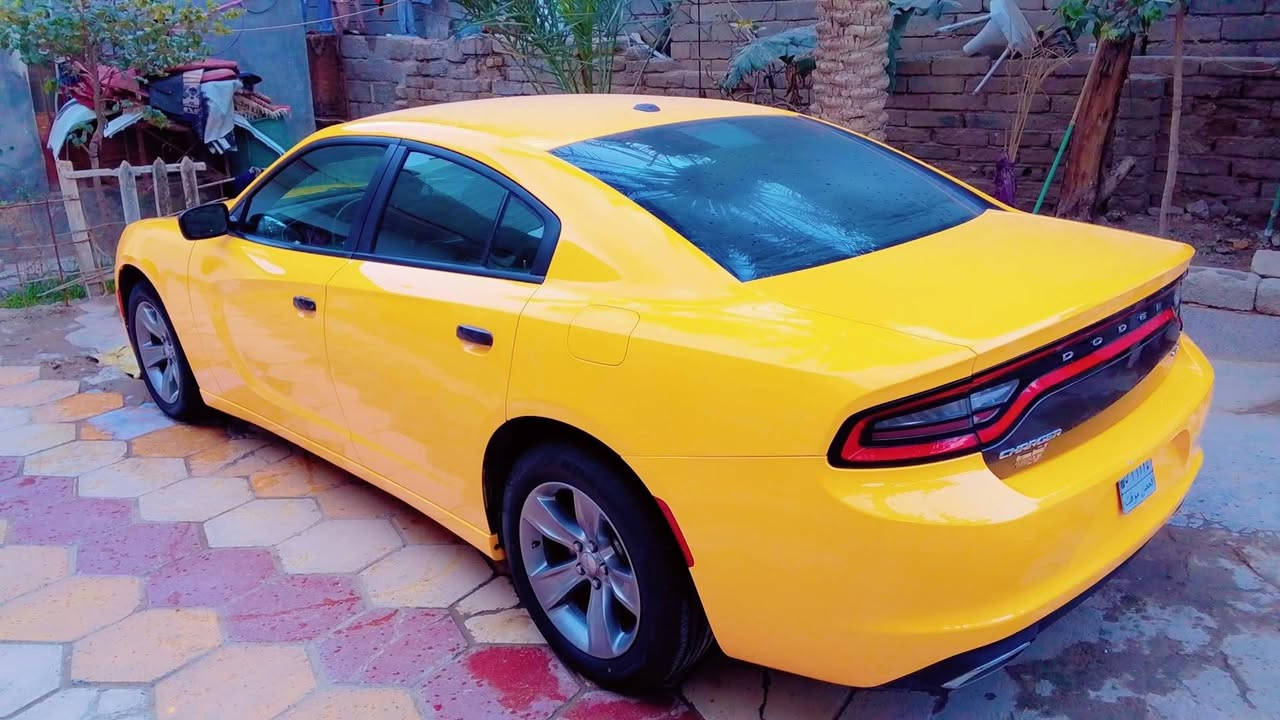 جارجر 16 23 مرمزكندي كفاله عامه سيارة جاهزه تخم تاير حداديه تبريد منضمه غاز ترقيم جديد رقم بغداد ض بصره قضاء المدينه 190 وبيها مجال ***********
