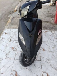 ماكس ثعلب ياباني • كابريتر شغال • ناصرية