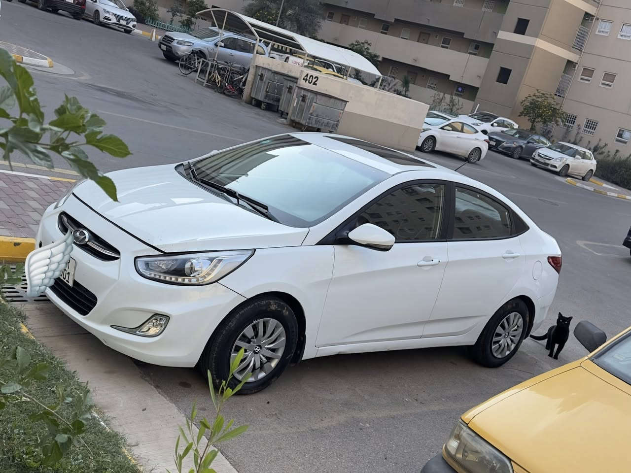 اكسنت ١٦ خليجي م ١٦٠٠ جاهزه من كلشي
فول مواصفات بلو … بيها شكم قطعه صبغ حسب السونار بدون لاضرر ولادواخل شرط …رقم بغداد دولي ..بسمنا …السعر ..٩٨..مكانها بغداد بسمايه

***********
