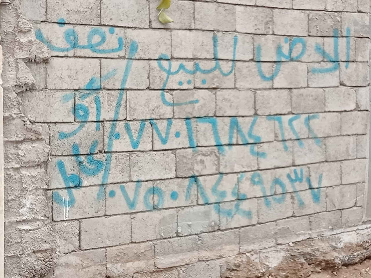 أرض للبيع في حي البلديات فرع صبه مساحه ٢٢٠ متر واجهه ١١ عمق ٢٠ اتجاه شروق تام موقع مميز ثاني قطعه عن سايدين الرئيسي 
الأرض شرط التحويل من الشرعي سند جديد 

ملاحظه الأرض محدوله جاهزه للبناء اتجاه شروق تام 

بيع الأرض كامل أو نصف حسب الطلب 

للاستفسار أكثر مراجعه مكتب ثقه مكتب ثقة المجد لتجارة العقارات 
الكائن في سايدين حي الصديق مقابل مجمع دي دي 
أو الاتصال على الارقام التاليه 

*********** ياسر سيد نظير الحيالي 
*********** ابو محمد الحمداني
***********
