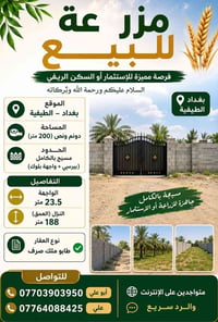 الطيفية بغداد • ٢٧٠٠م • طابو ملك صرف