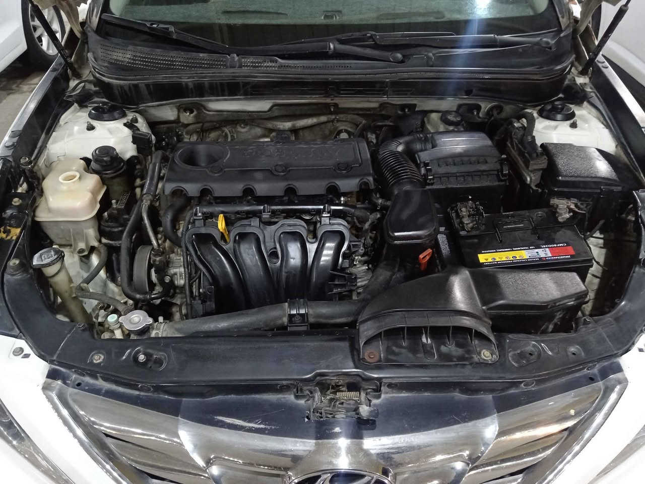 سلام عليكم سيارة نوع سوناتا موديل 20011 سياره بيها ثلث قطع وارد كوري خط واحد بيها جاملغ الخلفي بدون شواصي وبيها جاملغ امامي والباقي مكفول رقم بغداد ابو سنويه نجف كير مكينه تبريد حداديه خير من الله السعر ٨٥ وبيها مجال قليك حك جيه مكان سياره نجف *********** النجف, العراق
