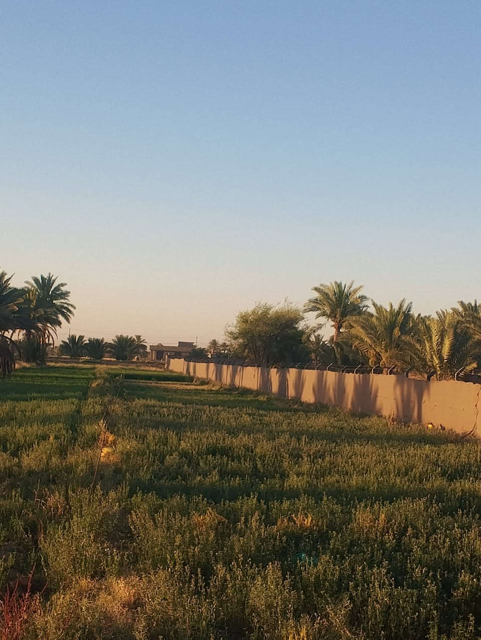 السلام عليكم سبع دوانم ونص كافة الخدمات مي كهرباء مولد تبليط موقعه حله ابوغرق خلف مجمع الكوثر السكني طابو سند 25 بأسمي يتوفر فيها بيت متوسط للسكن وتحتوي على مايقارب 150 نخله


**إذا كنت صاحب هذا الإعلان وتريد حذفه لأي سبب، رجاءا أرسل رسالة إلى الدعم الفني**
